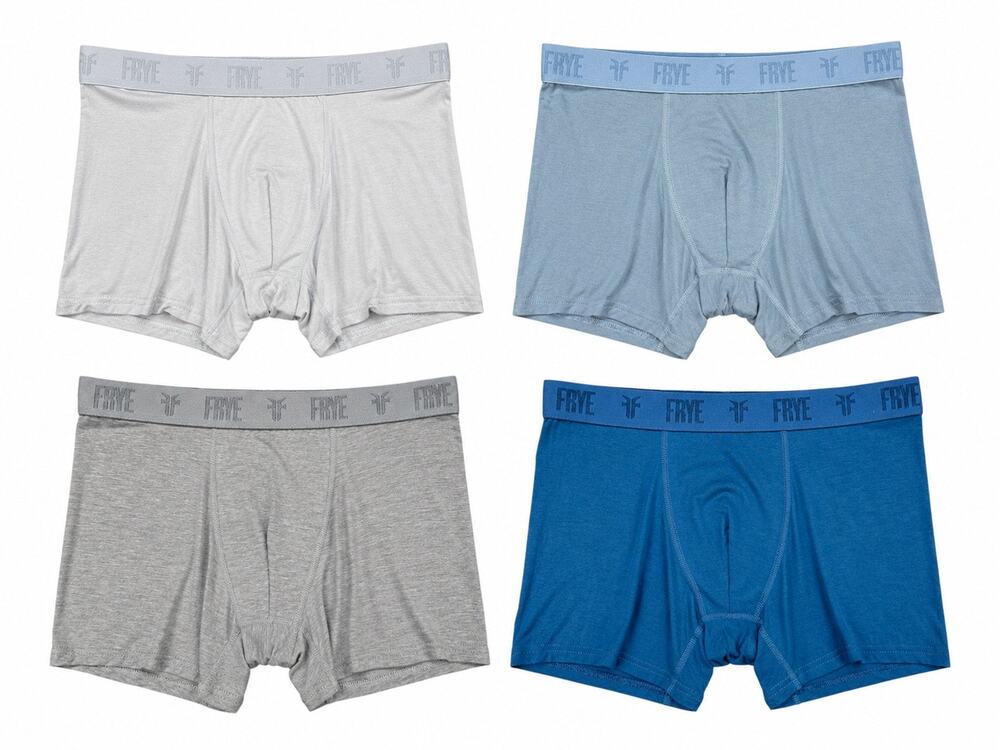 Frye 4.5 Inch Bamboo Blend Boxer Briefs 4 Pack Blue NWT — Size Medium